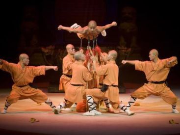 Le Petit Dragon au Cirque Phénix