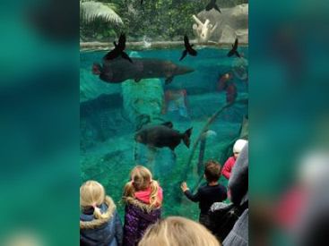 Le Parc Zoologique de Paris pour les vacances de printemps