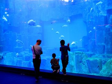 Entrées gratuites à l'Aquarium de Paris pour la Journée Internationale des Séniors