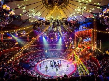 Le Cirque d'Hiver fait la Surprise