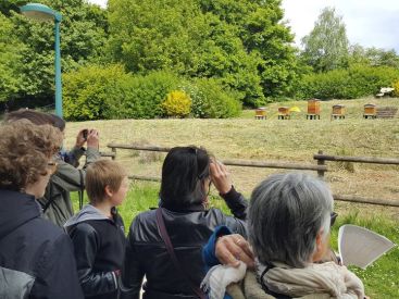 Les Rando'durables 2018