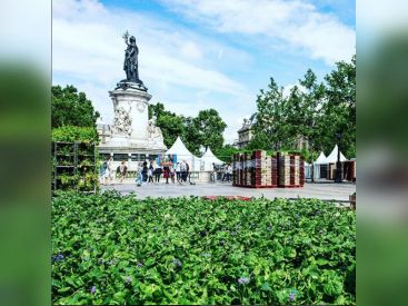 BiodiversiTerre, la place de la République se végétalise !