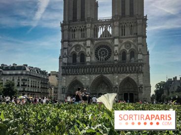 Réouverture du Parvis et de la rue du Parvis de Notre-Dame de Paris