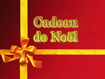 cadeau de noël 2011, cadeau pour ma belle mère