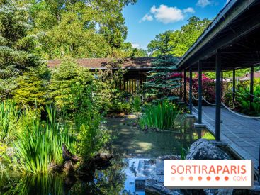 Les jardins japonais du Parc Floral de Paris au Bois de Vincennes 