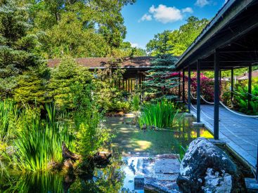 Les jardins japonais du Parc Floral de Paris au Bois de Vincennes 