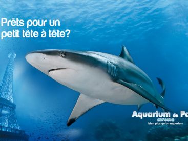 brunch aquarium de paris