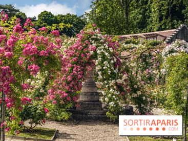 Les plus belles roseraies à Paris et en Île-de-France