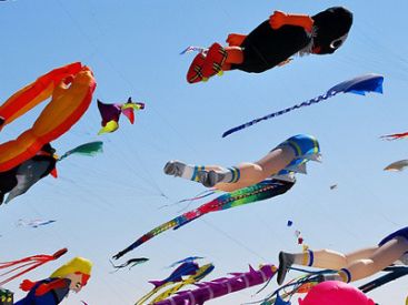 Paris Plane 2012, Cerfs volants et kite au programme !