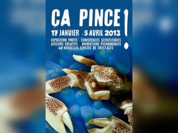  Ça pince à l'Aquarium de Paris