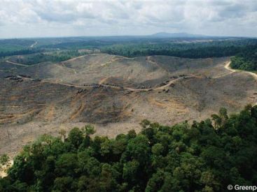 Greenpeace contre la déforestation Place du Plais Royal à Paris