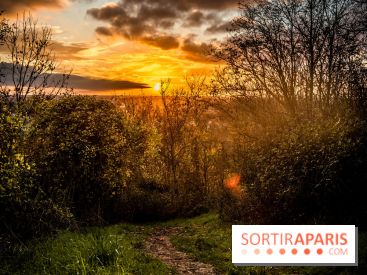 Colline d’elancourt - colline de la revanche 