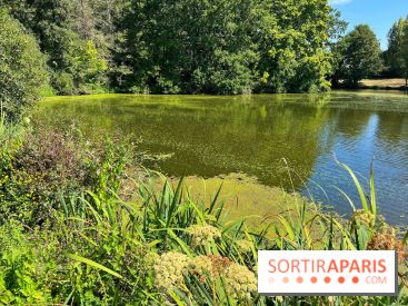Fête de la Nature à Issy-les-Moulineaux, le programme gratuit
