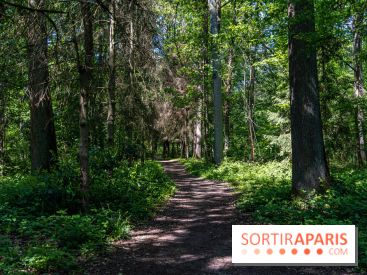Nuit des forêts Rambouillet 2023