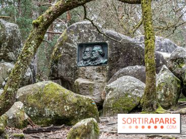 Nuit des Forêts à Fontainebleau 2023 entre art, nature et découvertes gratuites