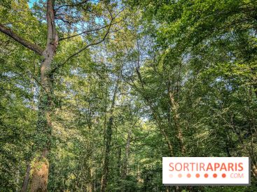 Les Nuits des Forêts 2023 en Seine-Saint-Denis (93) : Le programme