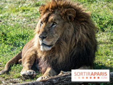 Halloween aux Parcs Zoologiques de Lumigny : Une Aventure Mystérieuse vous attend !