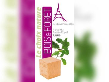 Bois et Forêt, Place du Palais Royal