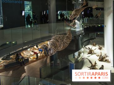 Aquarium de Paris : La Fabrique des profondeurs, l'exposition de Lionel Sabatté