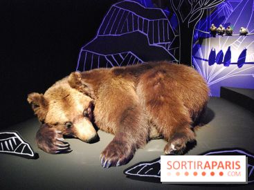 Exposition Nuit au Muséum Natinaol d'Histoire Naturelle