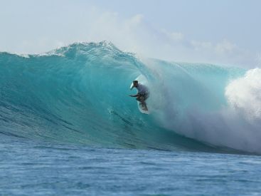 JO de Paris 2024 : qui sont les athlètes médaillés en surf ? Le récapitulatif global