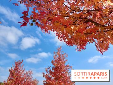 Que faire ce week-end à Paris et en Île-de-France, les 17, 18 et 19 octobre 2025 