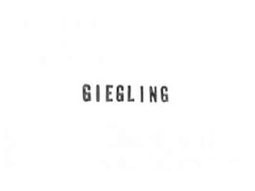Giegling Nacht au Rex Club