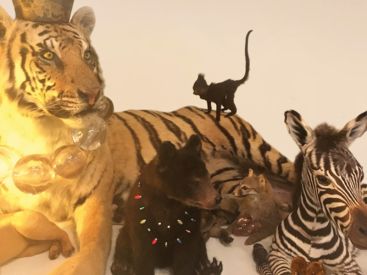 Albin de La Simone en showcase gratuit à la Fnac Saint Lazare