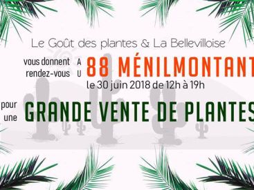 Grande Vente de Plantes dès 2€ au 88 Ménilmontant à Paris
