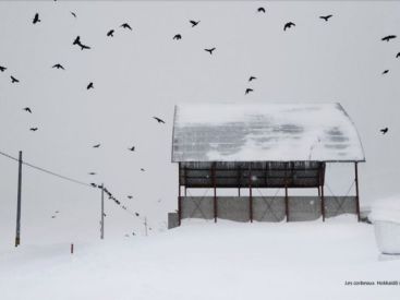 "En dessous de zéro" : expo photo de Christophe Jacrot à la Galerie de l'Europe