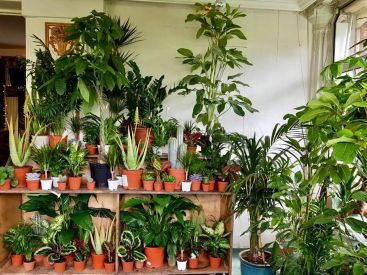 Plantes Pour Tous : grande vente de plantes à La Villette les 13 et 14 avril 2019