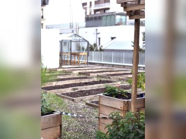 Laïa : nouvelle table ensoleillée à Paris attendue en janvier 2020