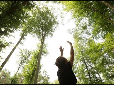 Le Festival des Forêts 2020 maintenu à Compiègne, le programme