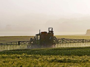 Glyphosate : Bayer va payer 10 milliards de dollars aux plaignants américains
