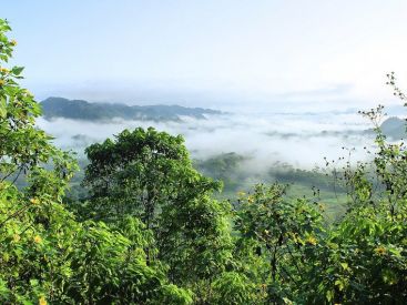 Green Friday, Good Friday… ces initiatives solidaires pour contrer le Black Friday 