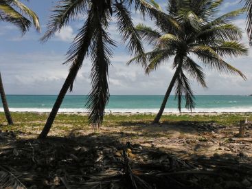 Covid : en Martinique, de nouvelles mesures annoncées face à l’explosion du nombre de cas