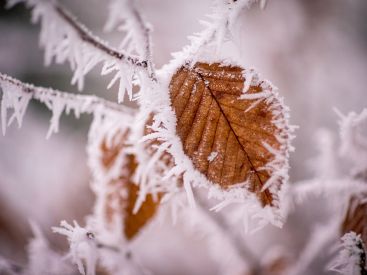 Météo en France: « une descente d'air polaire » annonce un coup de froid pour la semaine prochaine