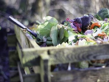 Tri des déchets : le compost bientôt obligatoire pour tous en France ?