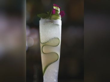 Cours de cocktails au bar du Park Hyatt Paris Vendôme 