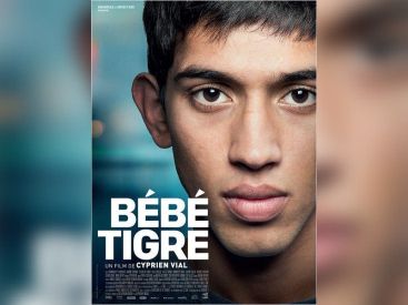 Bébé Tigre : critique et bande-annonce