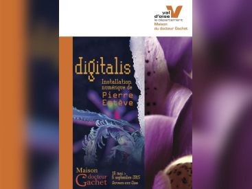 Digitalis de Pierre Estève à la Maison du docteur Gachet 