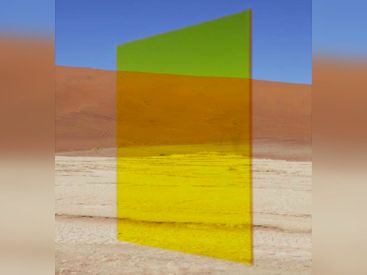 Viviane Sassen à l'Institut Néerlandais