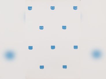 Niele Toroni, l'exposition au Musée d'Art Moderne de la Ville de Paris