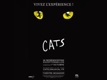 Cats à Mogador : notre critique 
