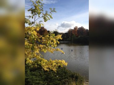 La COP21 s'invite au parc Montsouris 