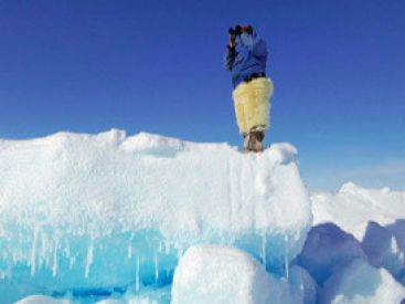 L'appel du froid, l'exposition de Michel Rawicki au jardin du Luxembourg