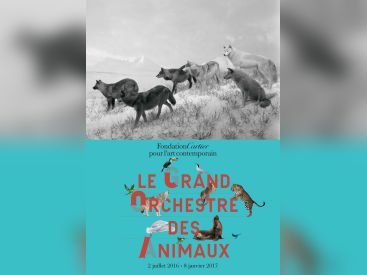 Le Grand Orchestre des animaux, l'expo à la Fondation Cartier