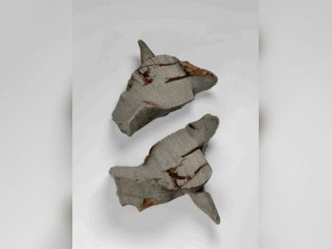 Jean-Luc Moulène, l'exposition au Centre Pompidou