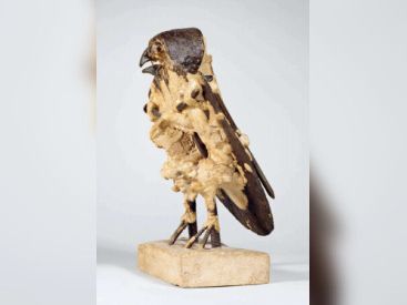 PIcasso.Panorama, l'exposition au musée Picasso