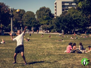 Pique-nique végane au parc Montsouris en juin 2017